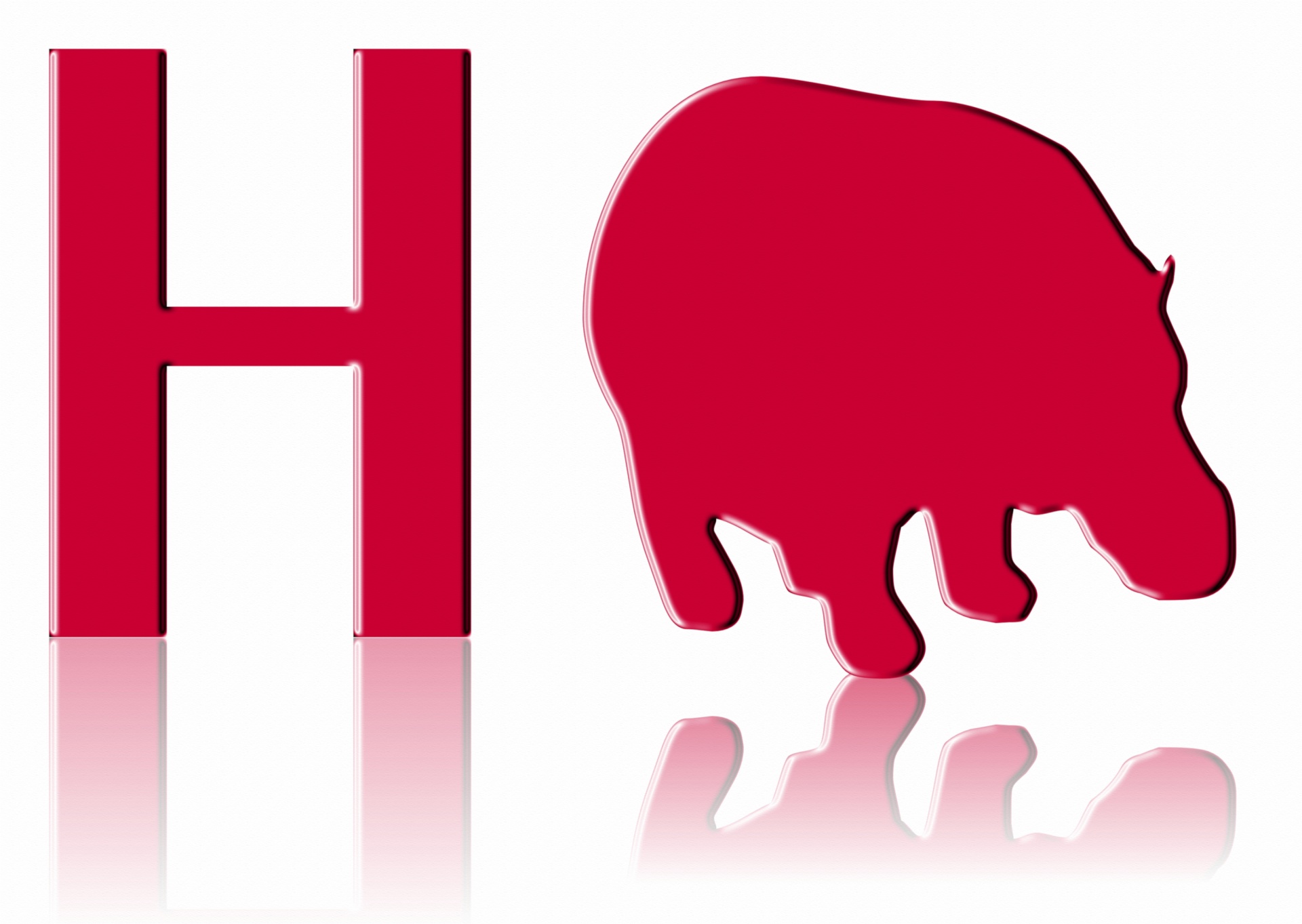 Letter H Hippopotamus