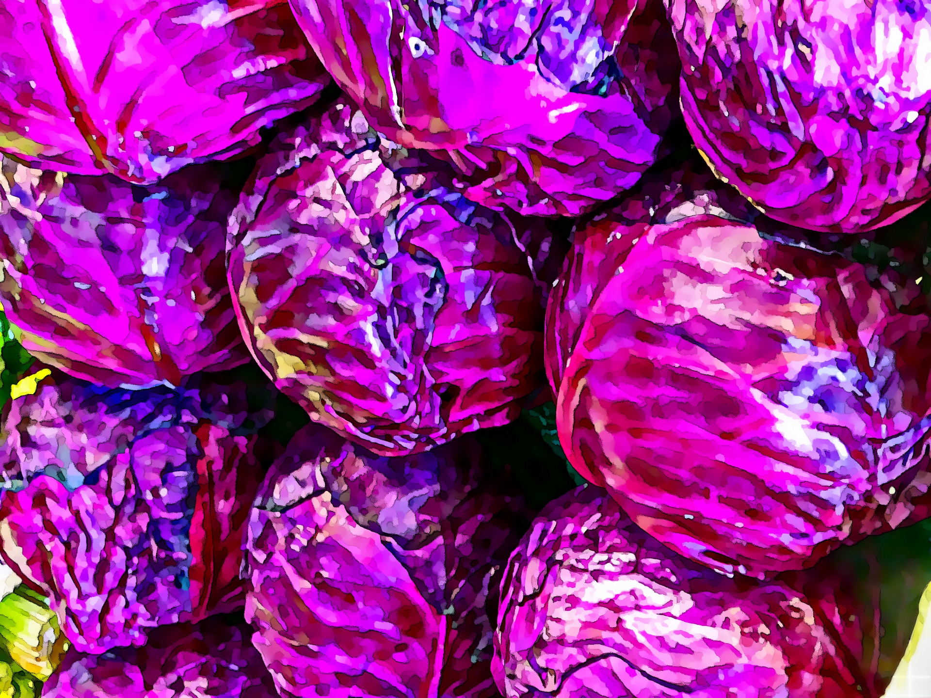 Painted Red Cabbage