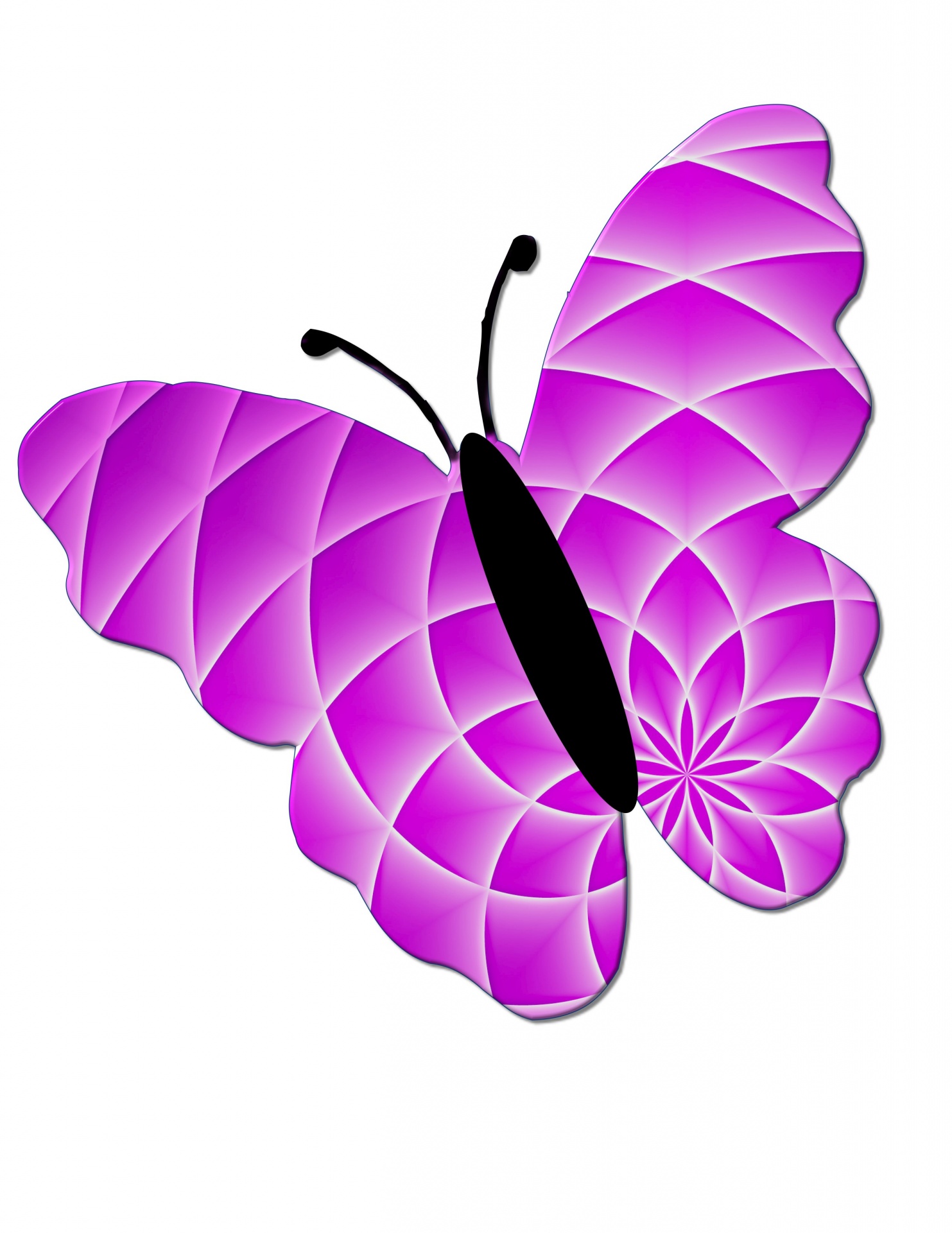 Butterfly # 1