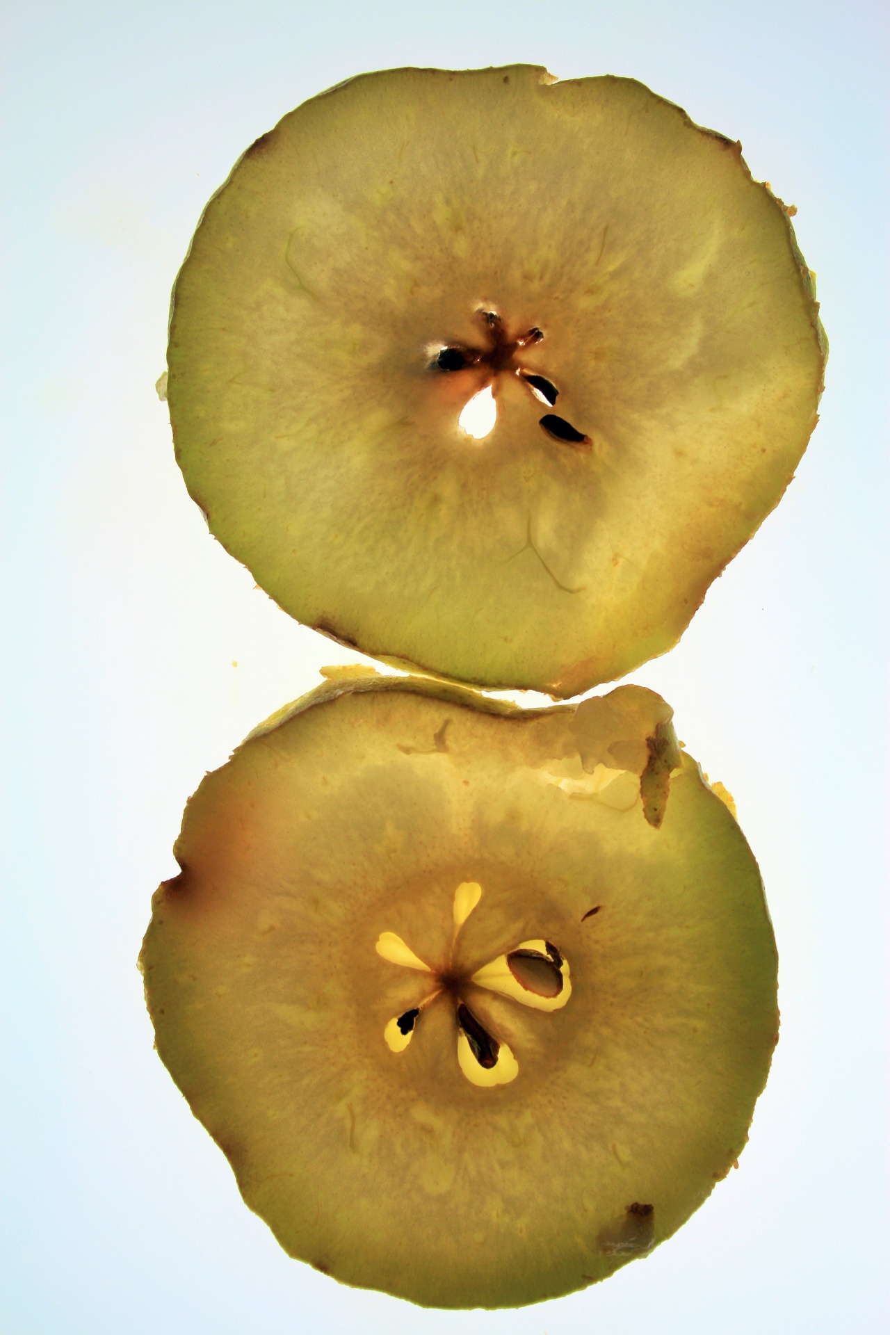 Pear Slices On Backlight