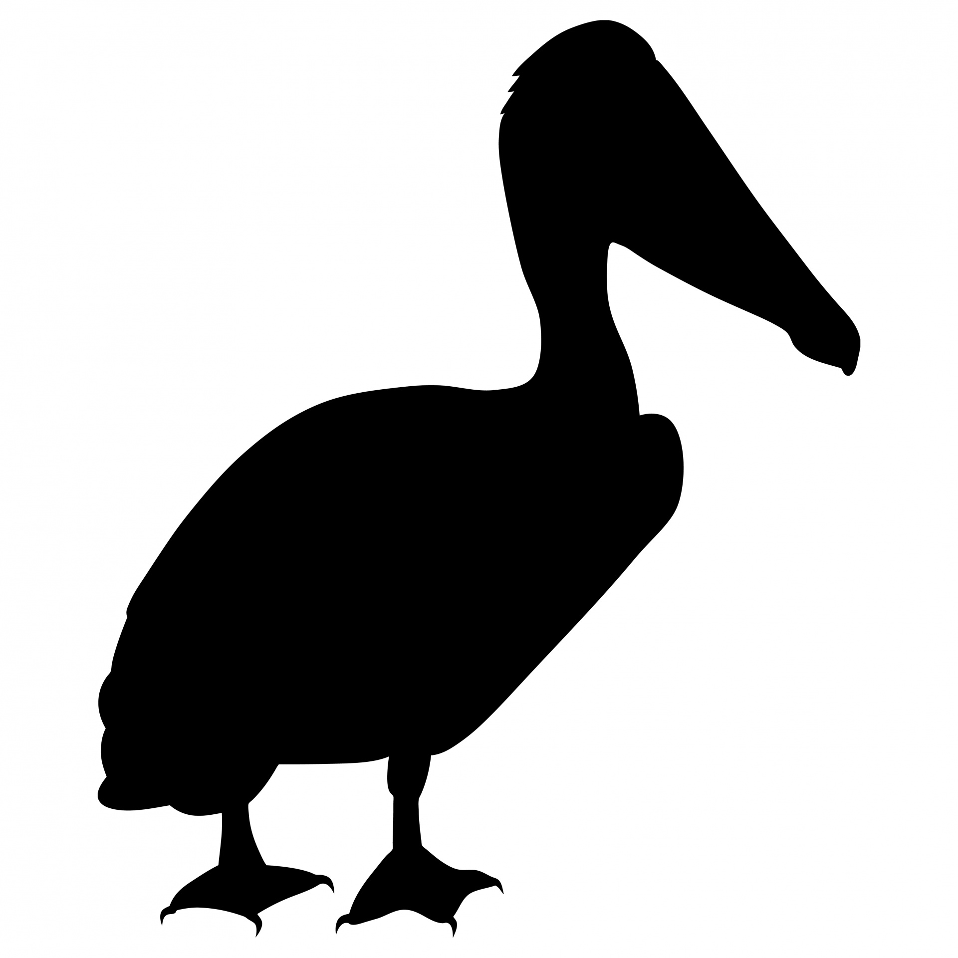Silhueta do pelicano