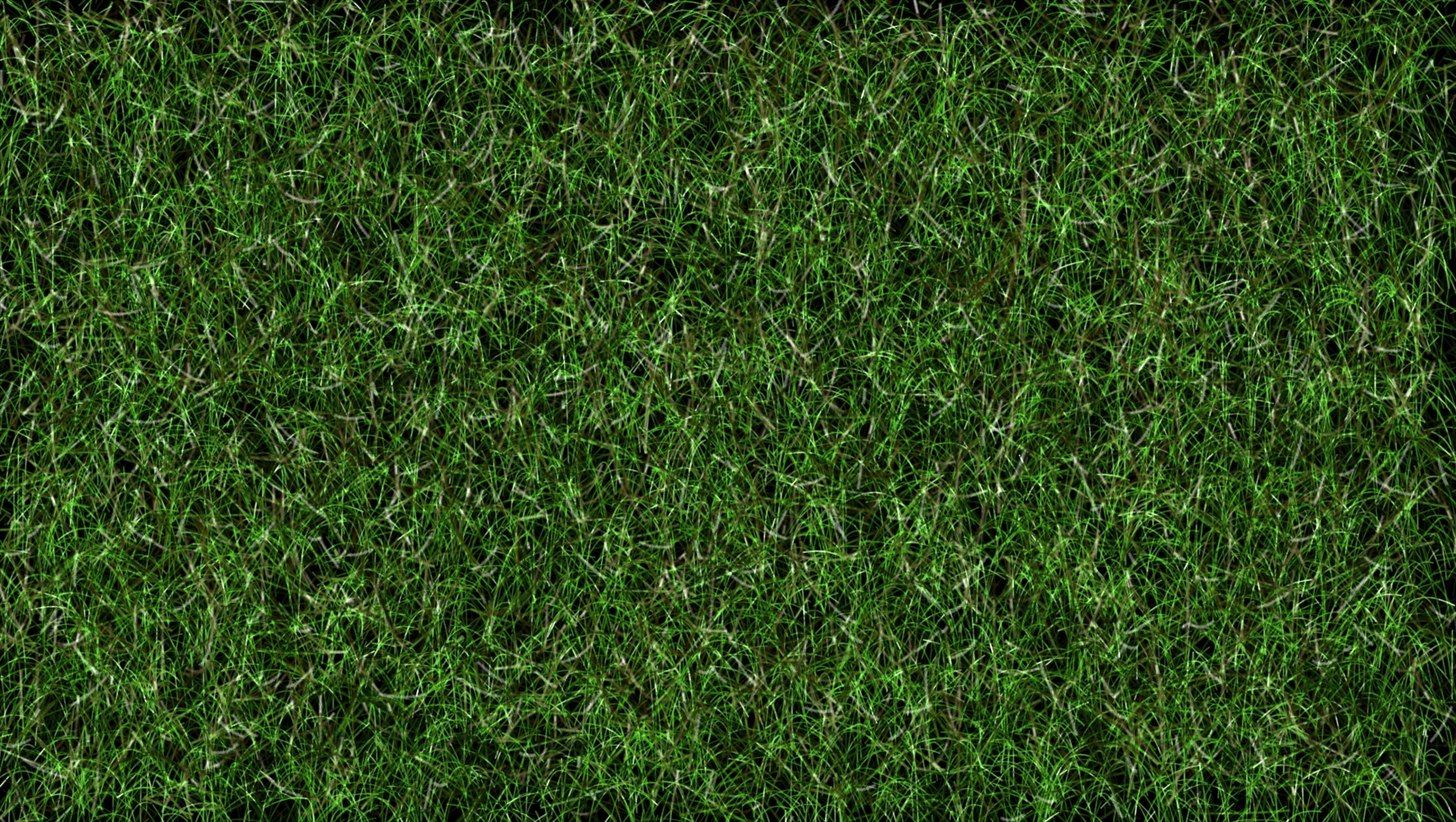 Photo Green Grass Background