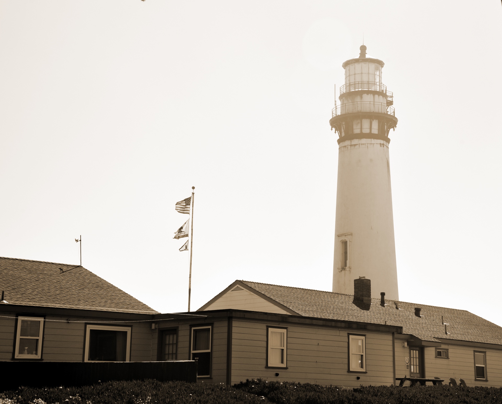 Pigeon Point Sepia