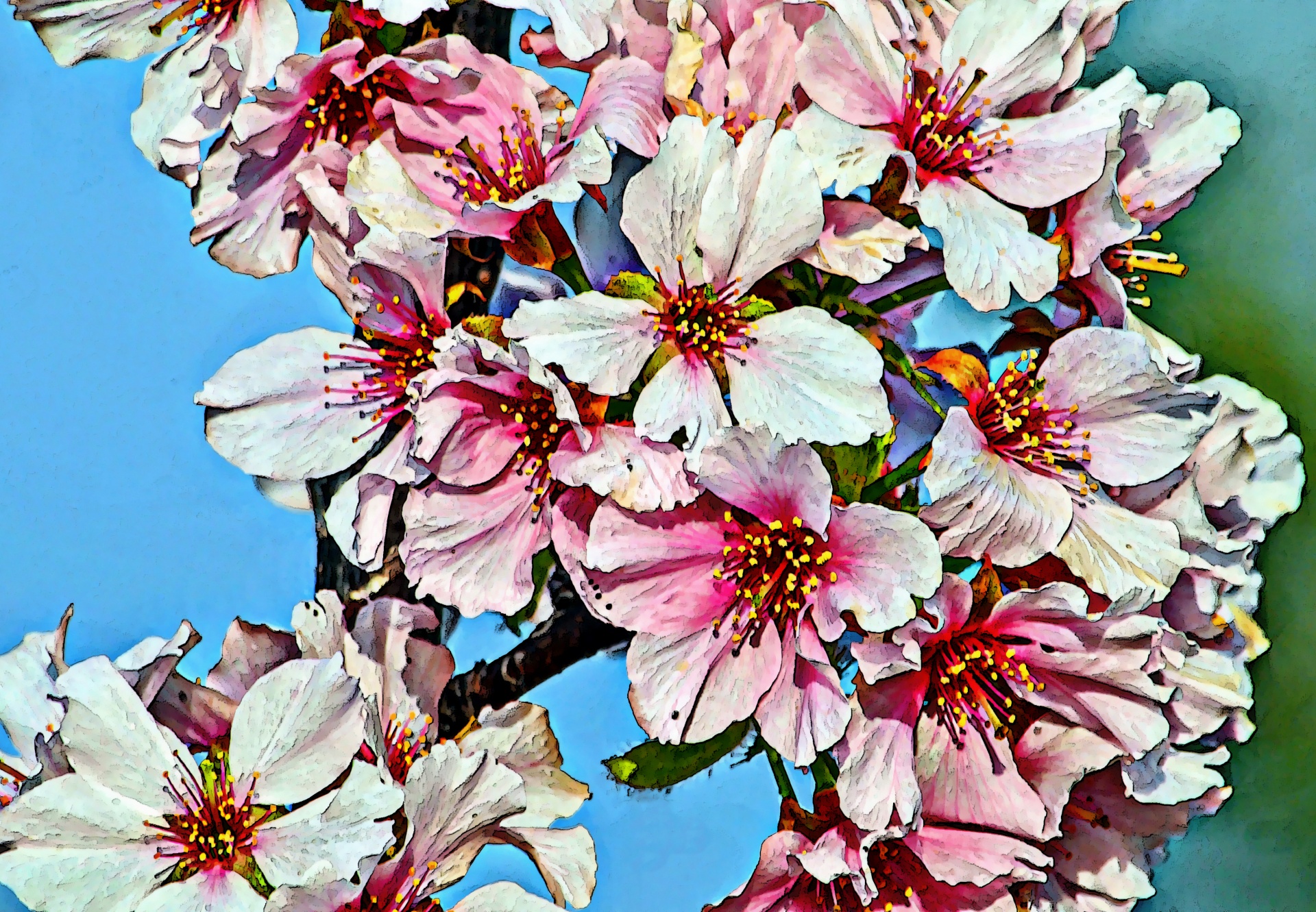 ピンクの梨の花の背景
