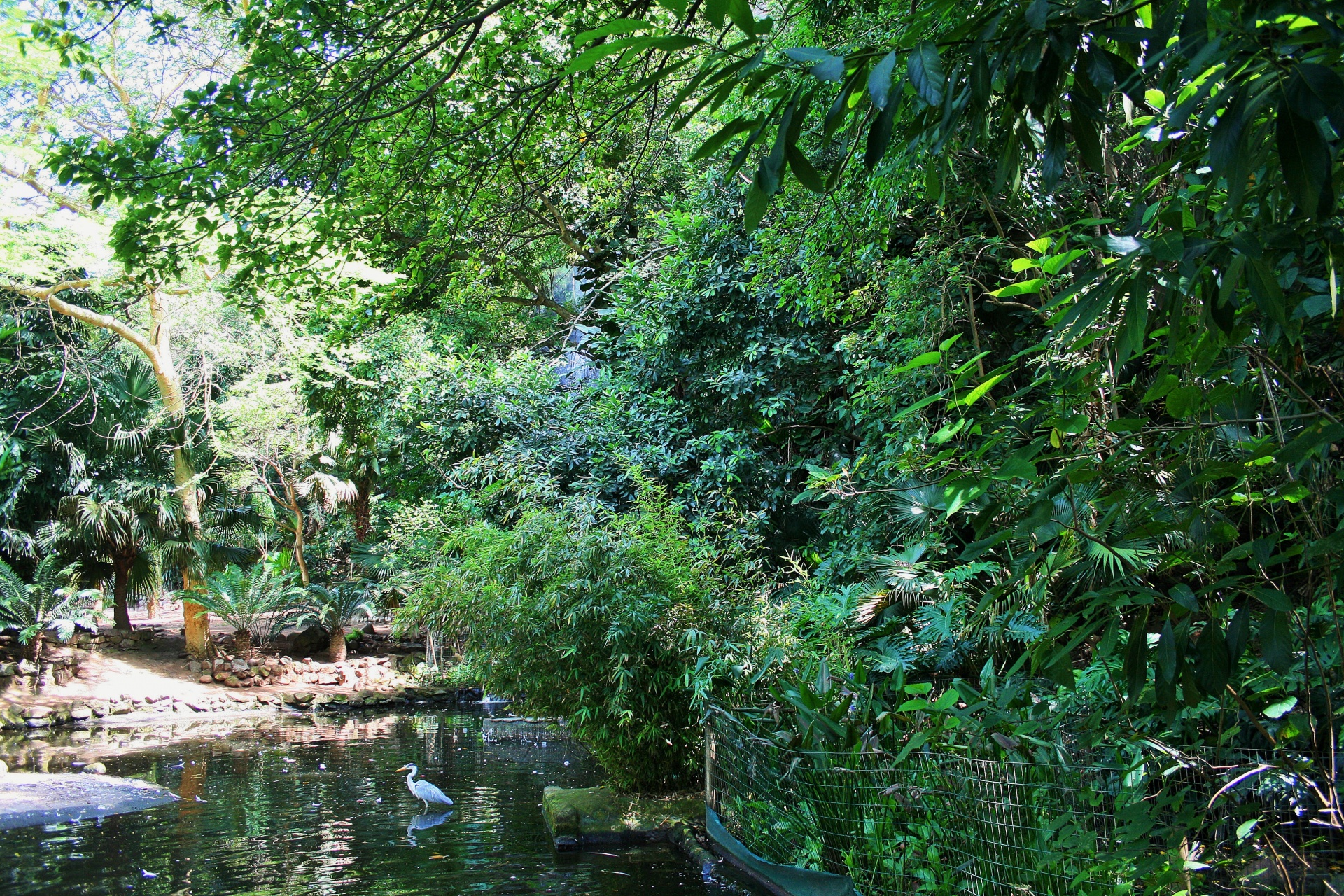 Lagoa no jardim sub-tropical