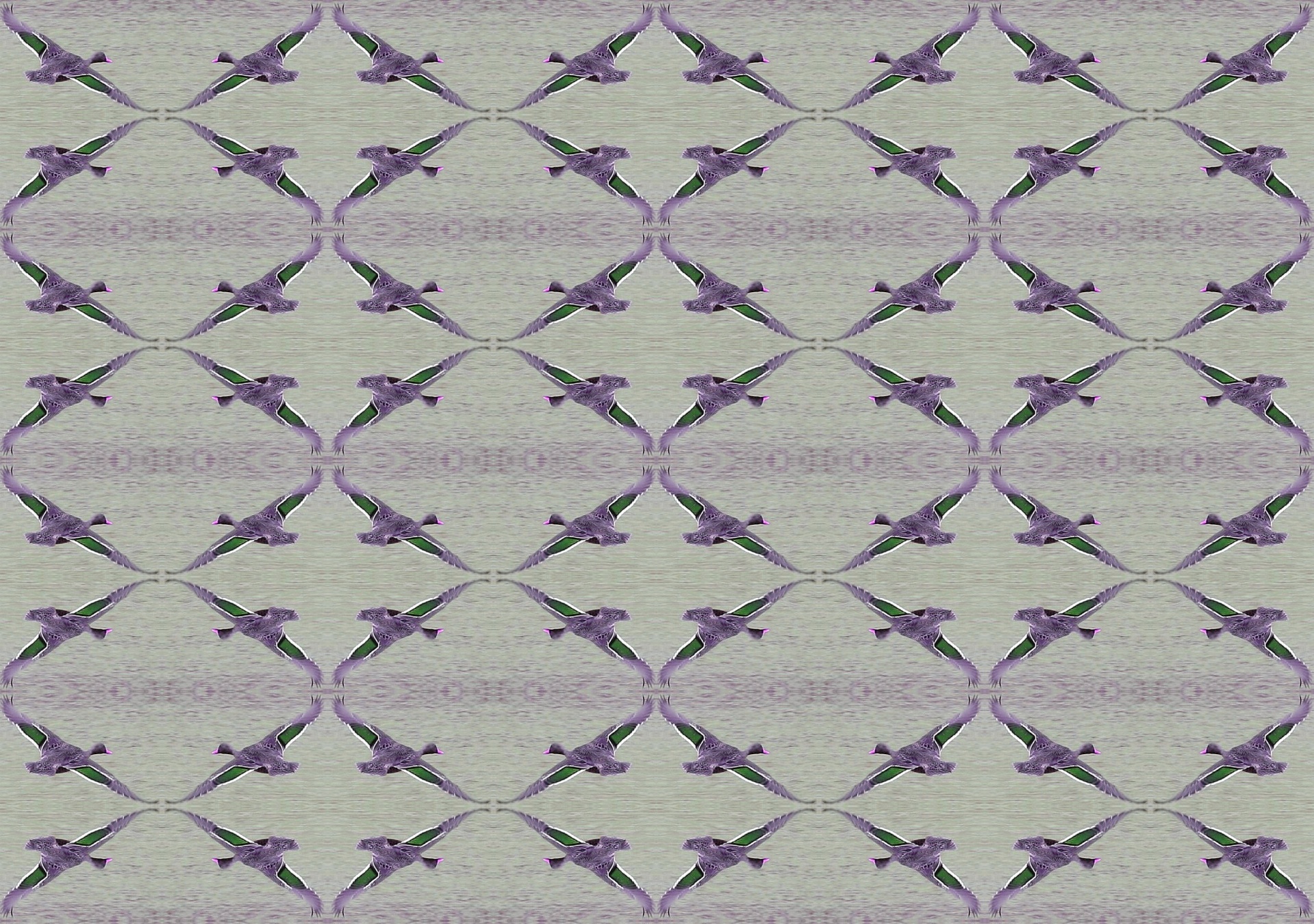 紫色の飛行アヒルの壁紙