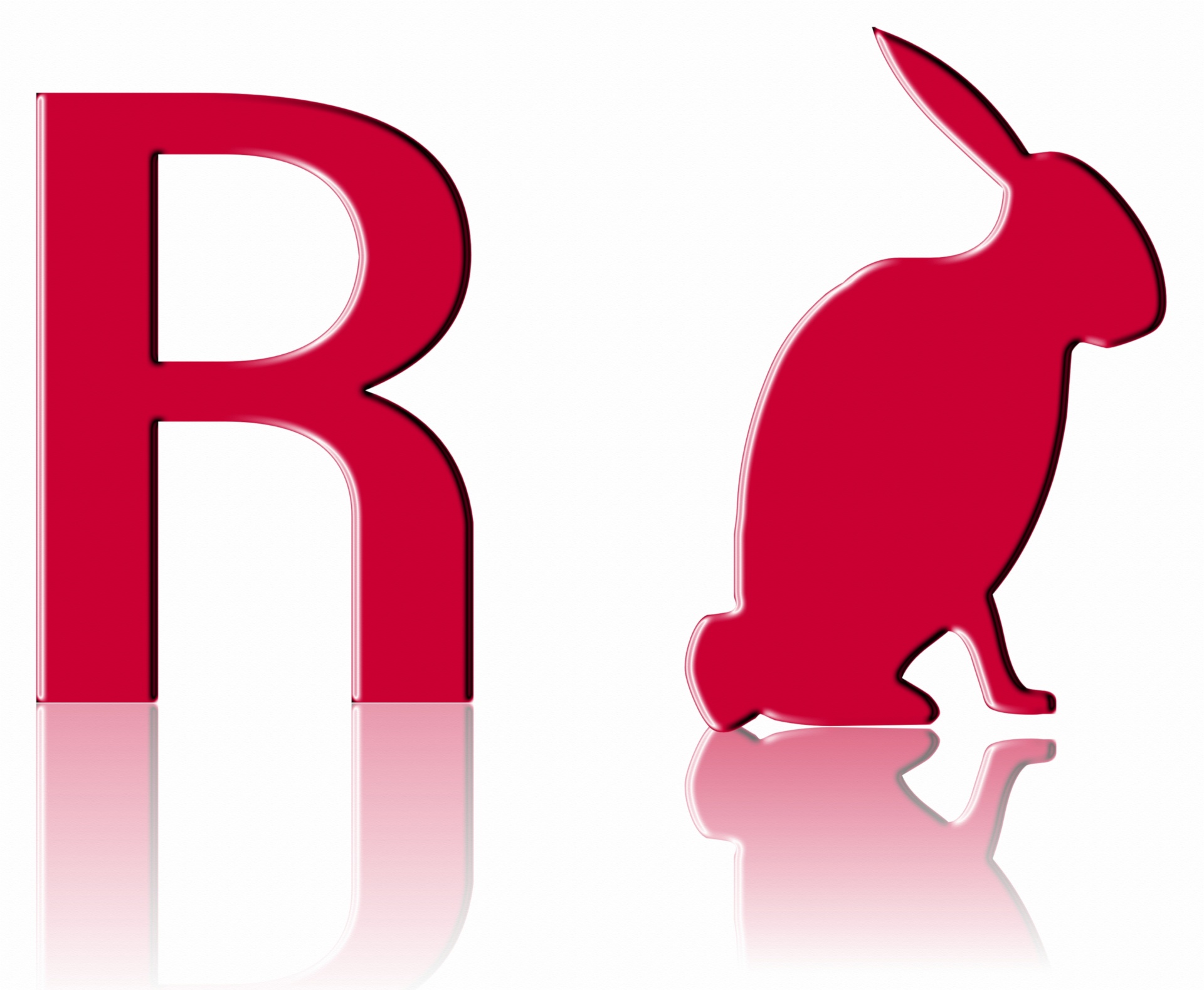 R del conejo