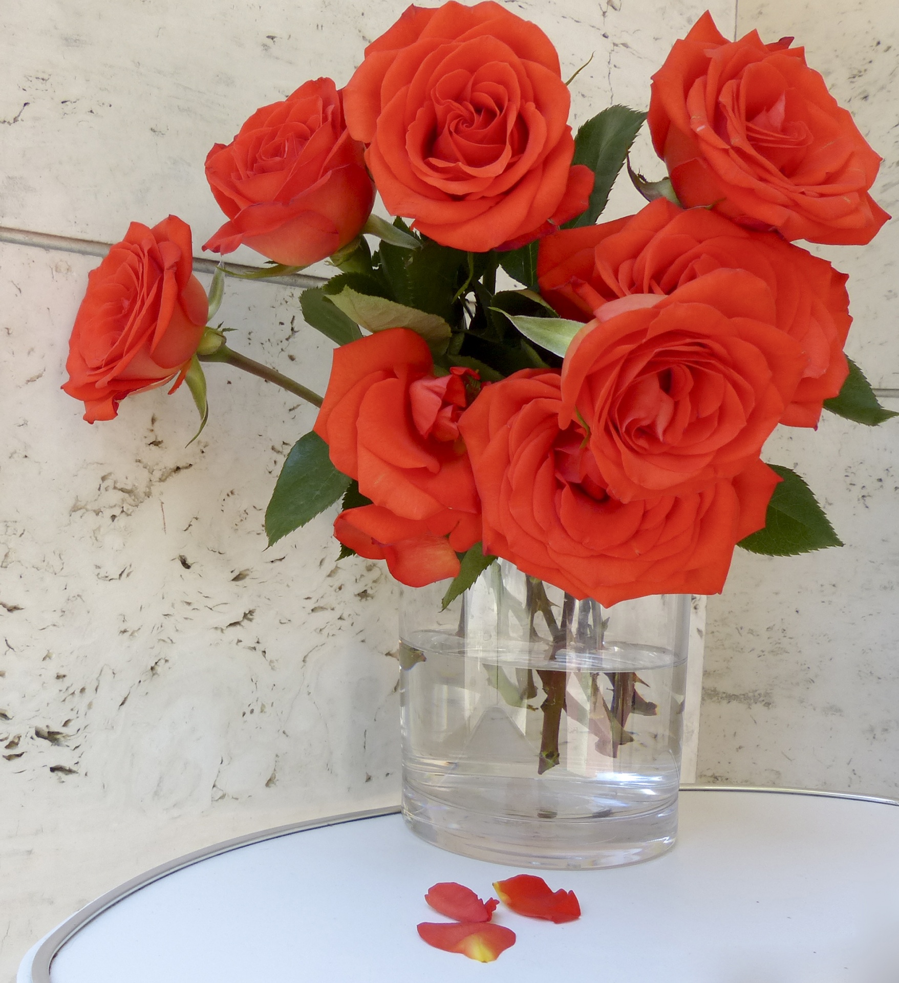 花瓶の赤いバラ