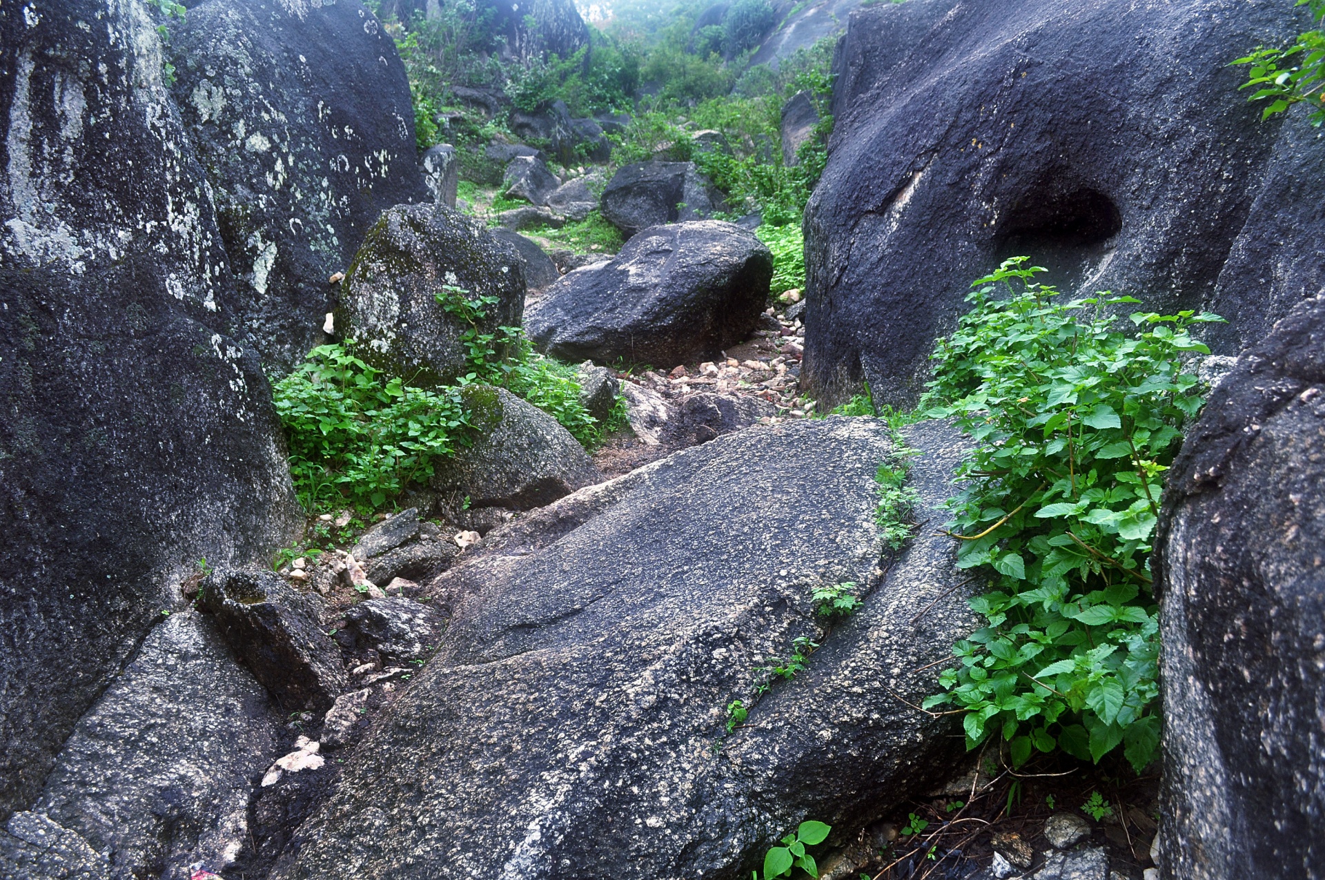 岩の多い地形