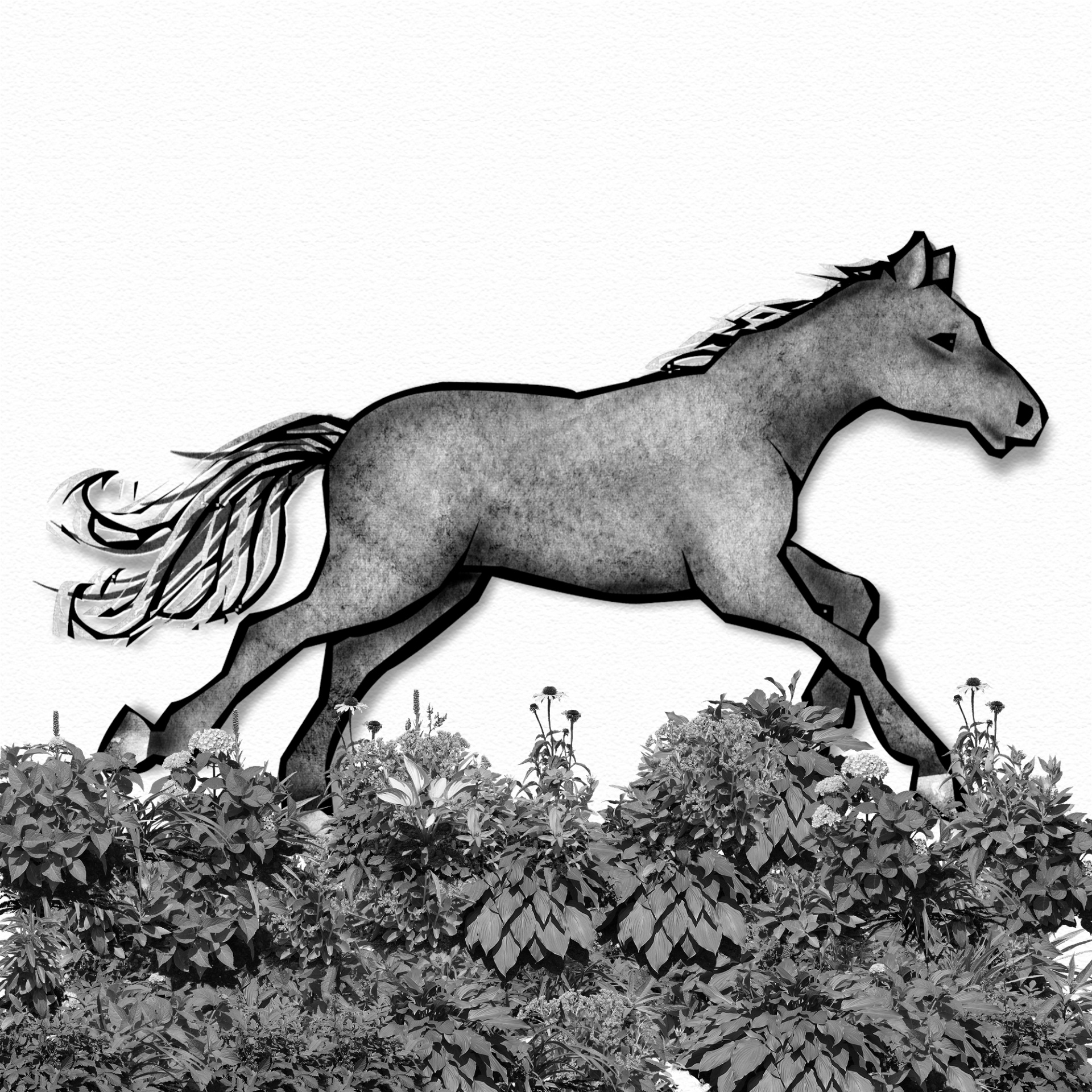 Cavalo Running