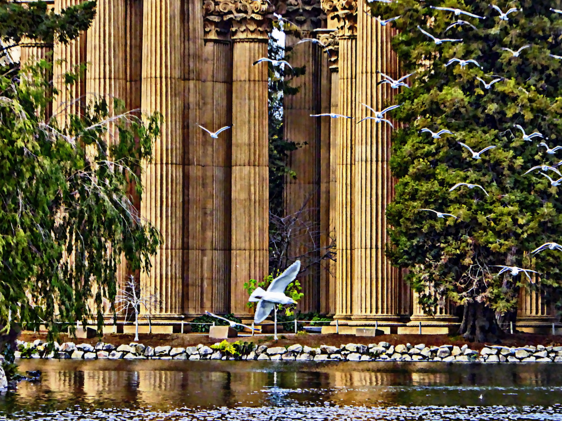 Seagulls And The Palace