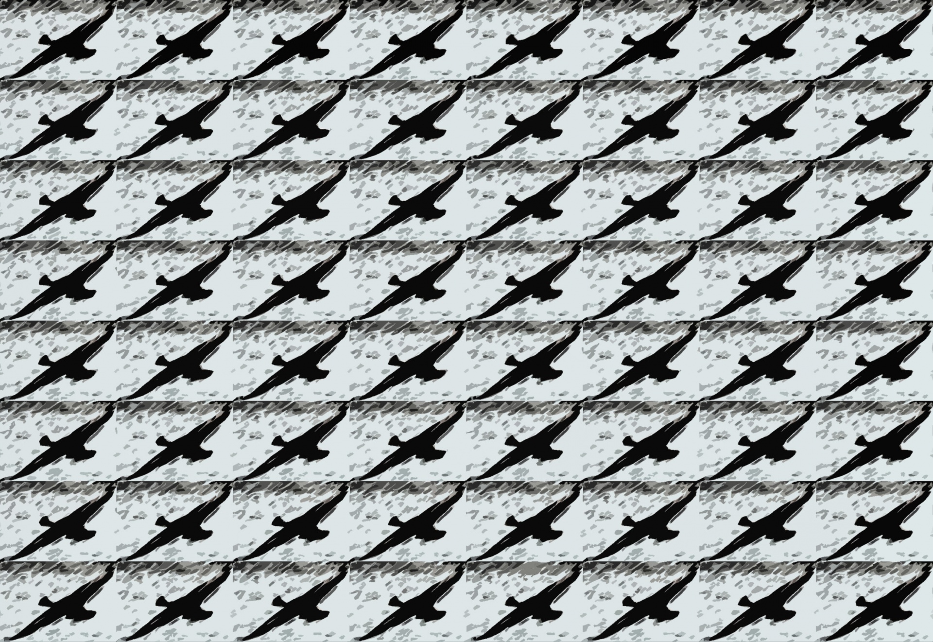Shadow Of Flying Duck Wallpaper