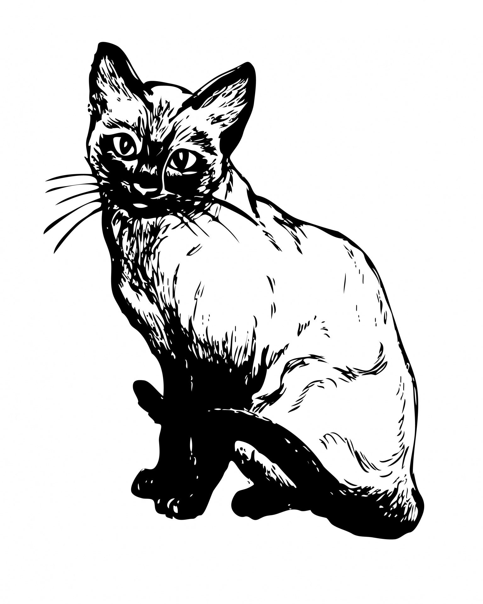 シャム猫のイラストクリップアート