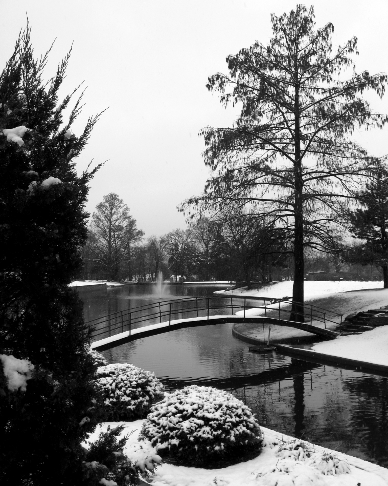 雪に覆われた橋と池