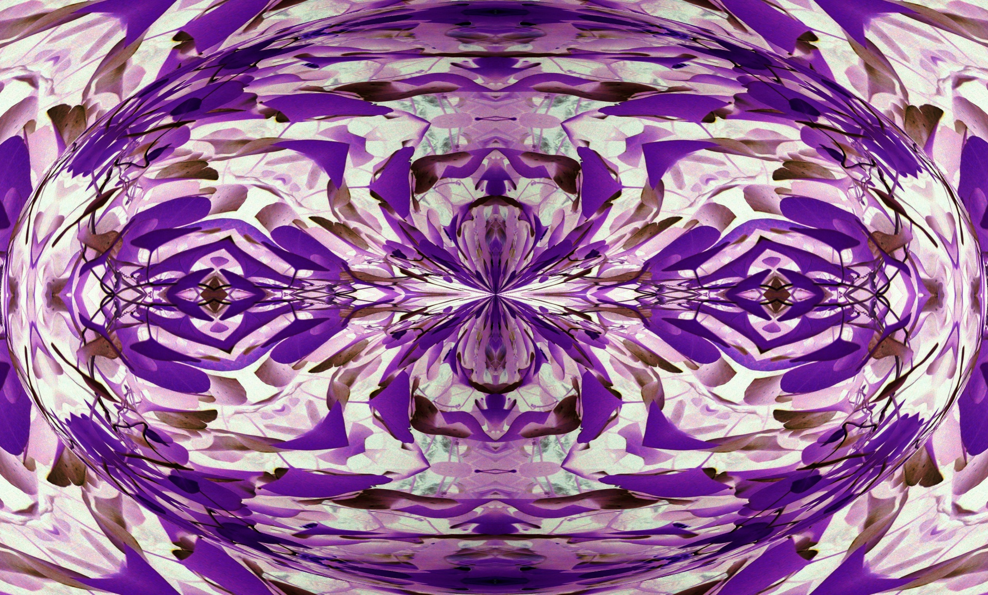 spherized紫色のパターン