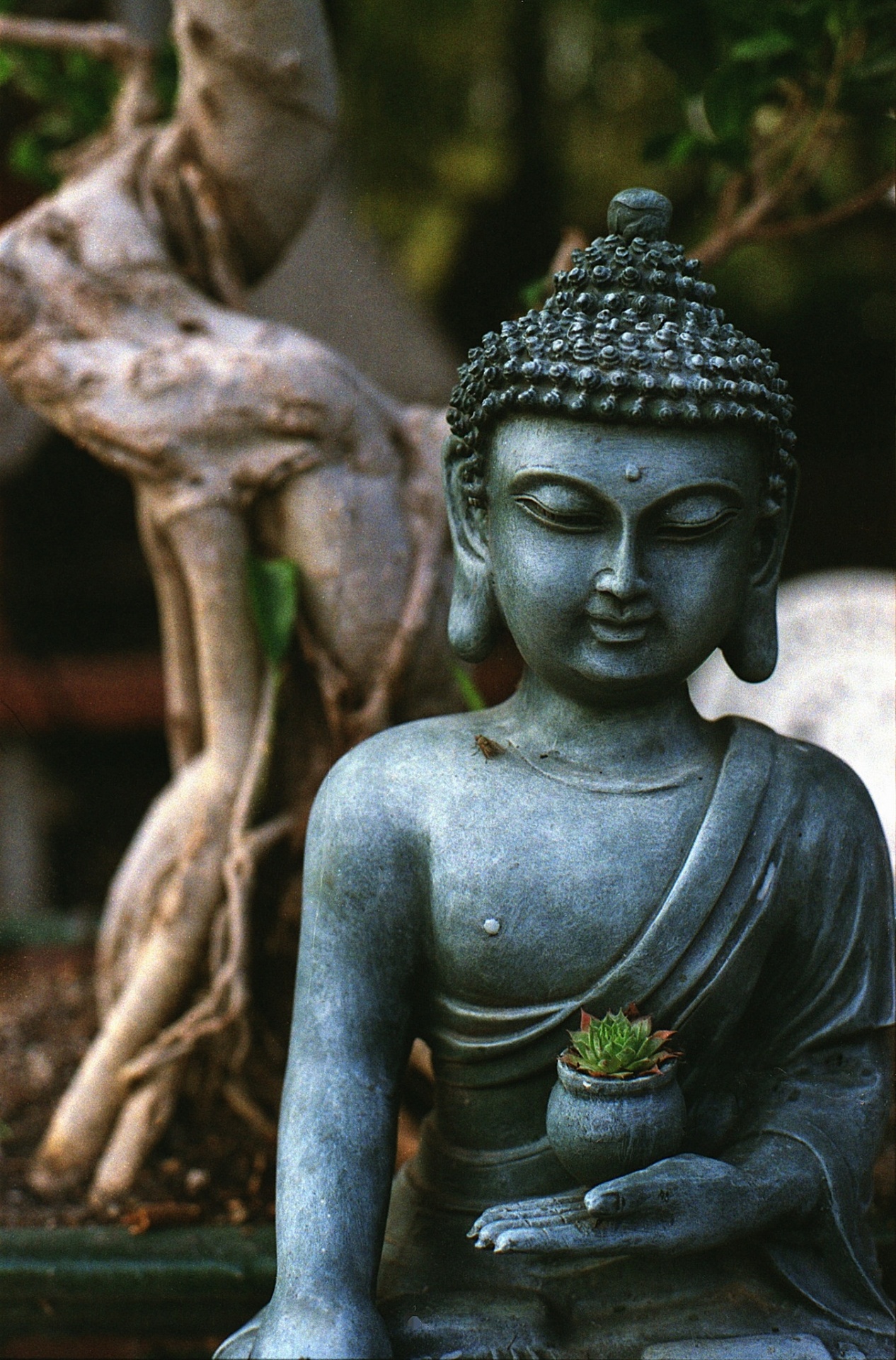 Estátua de Buda, Tranquilidade