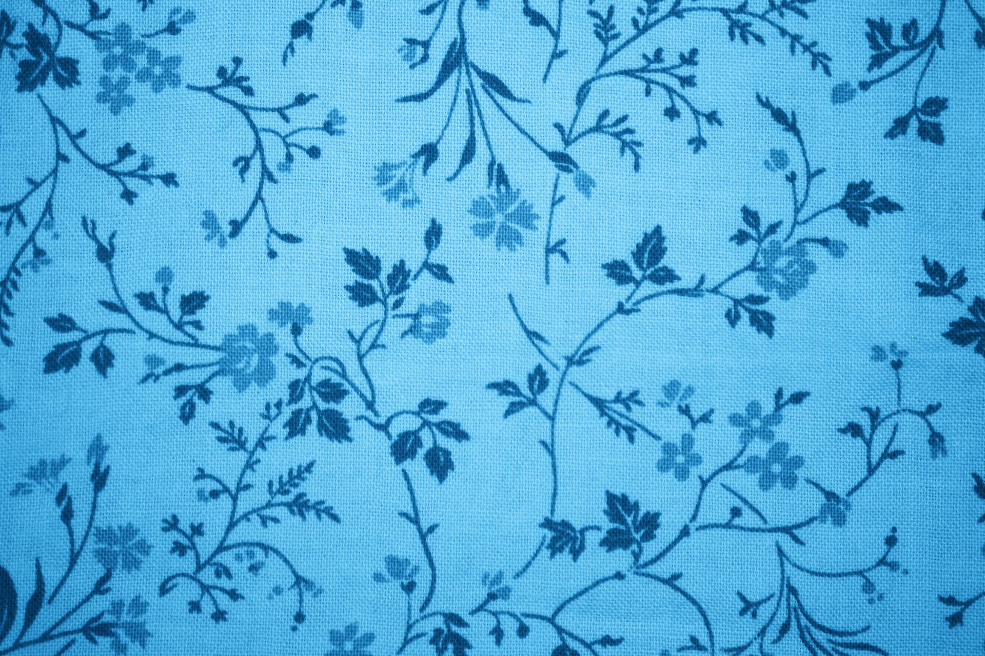 Cielo azul de la tela floral