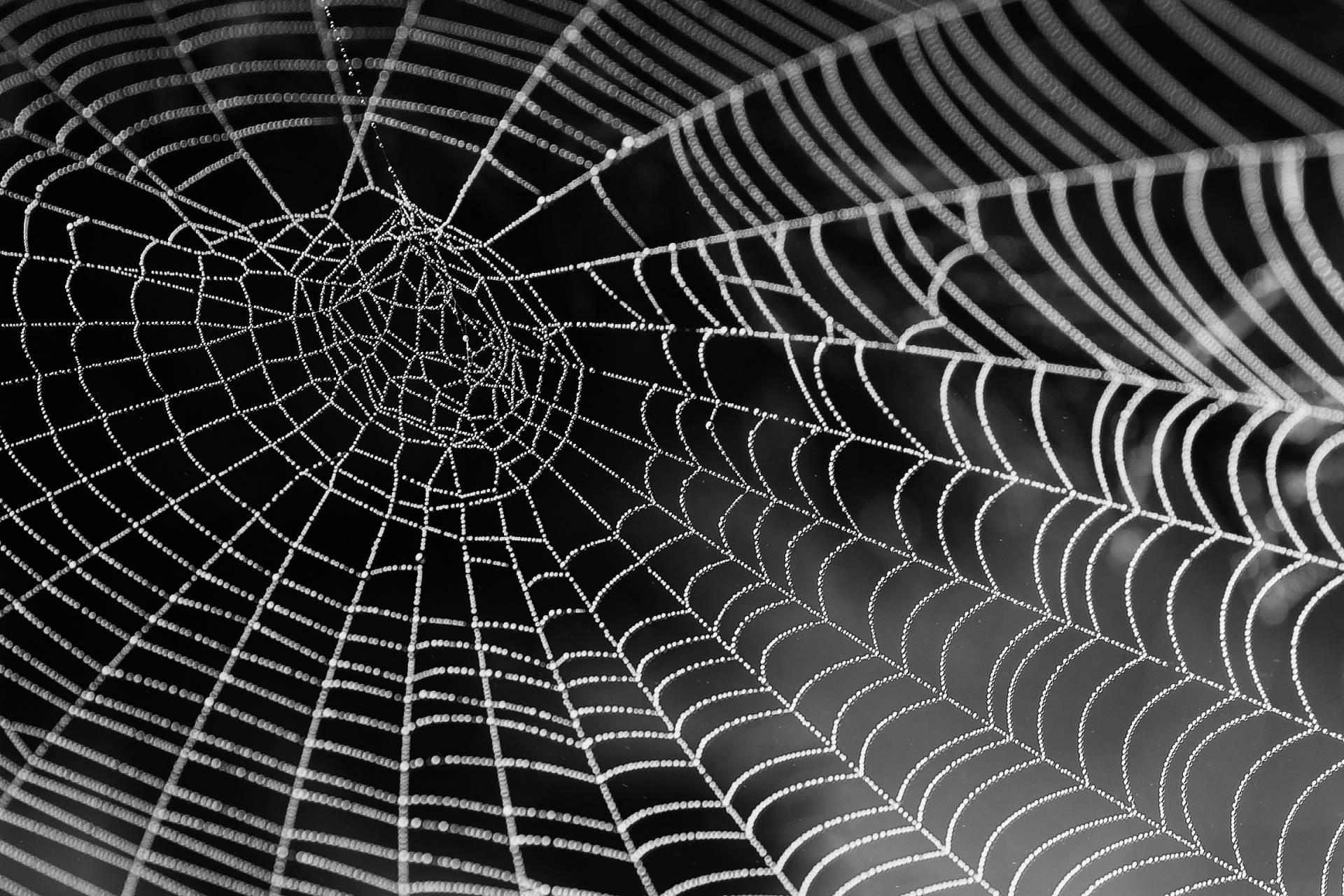 Spinnenweb, druppels Anderen