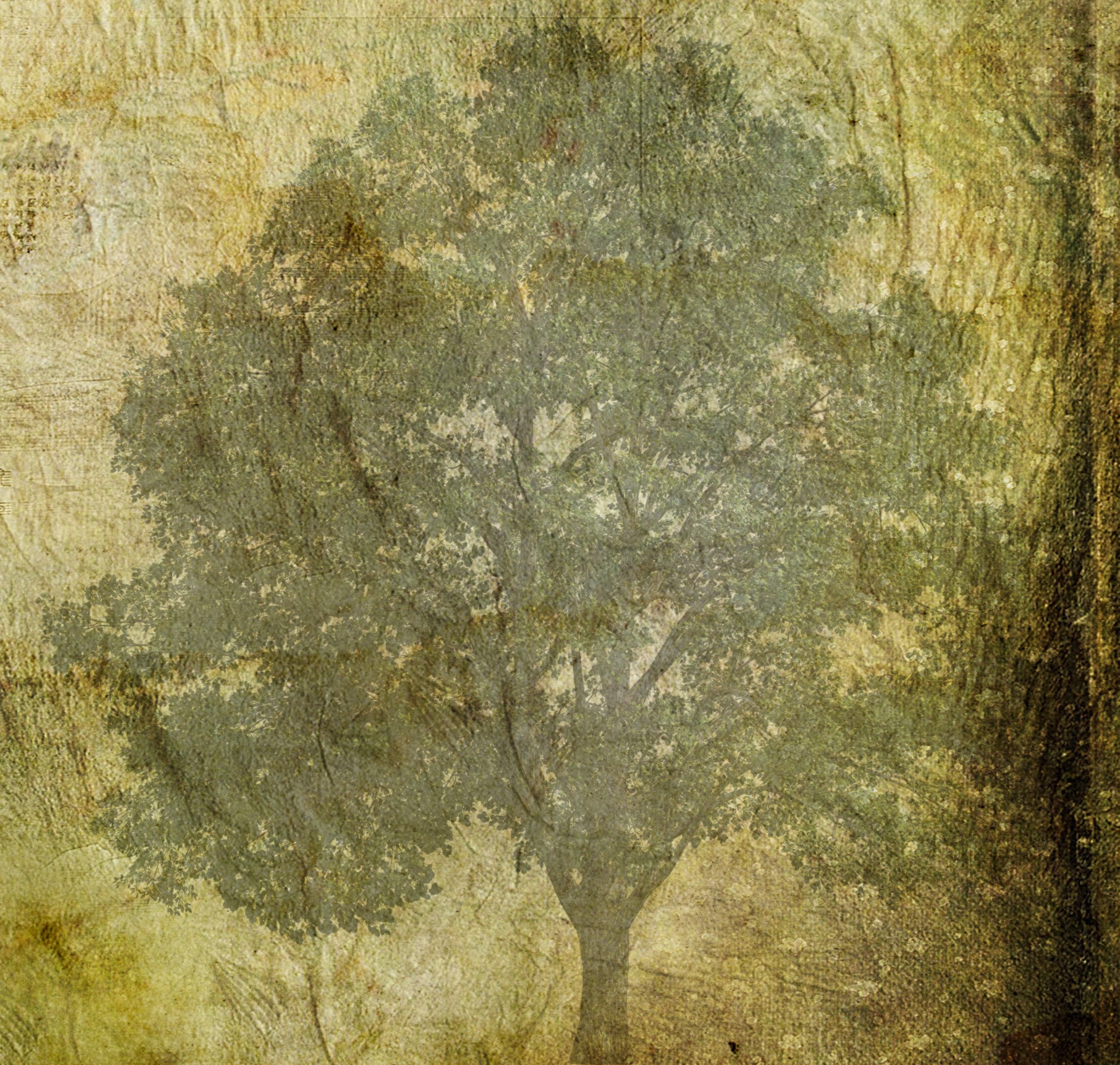 Tree On Grunge Texture Paper