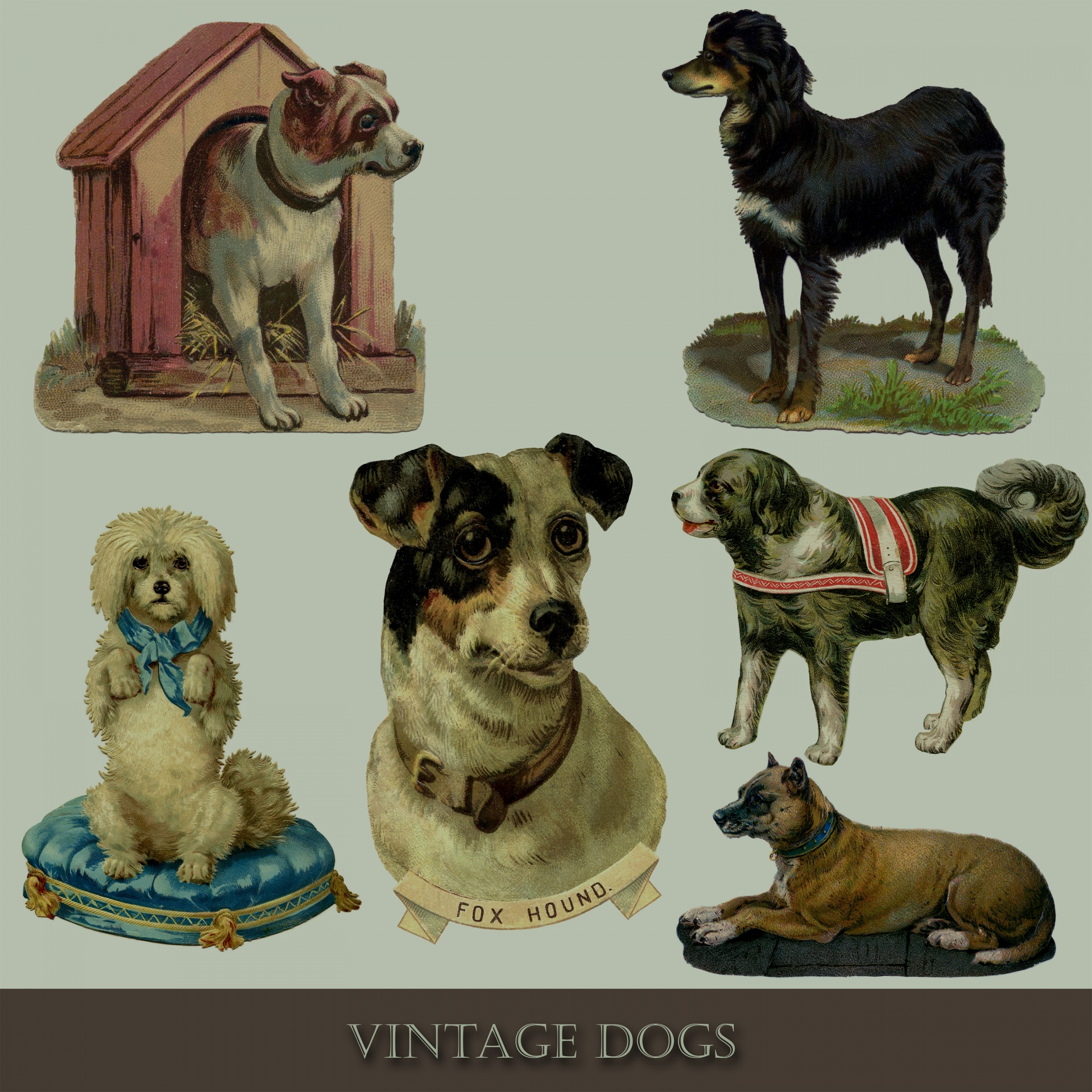 Vintage Dog Set Ilustratii