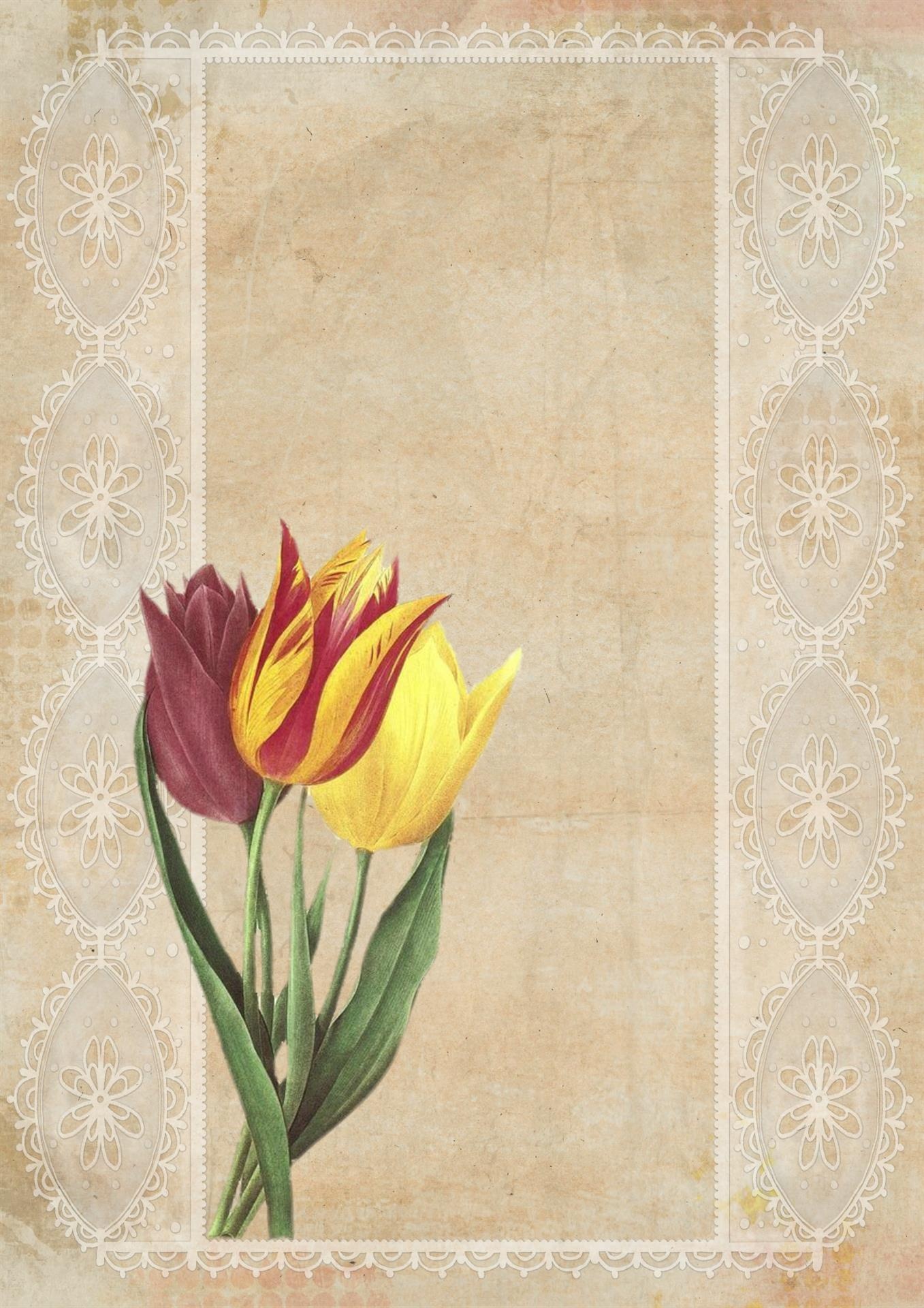 Klasická Tulip umění Koláž