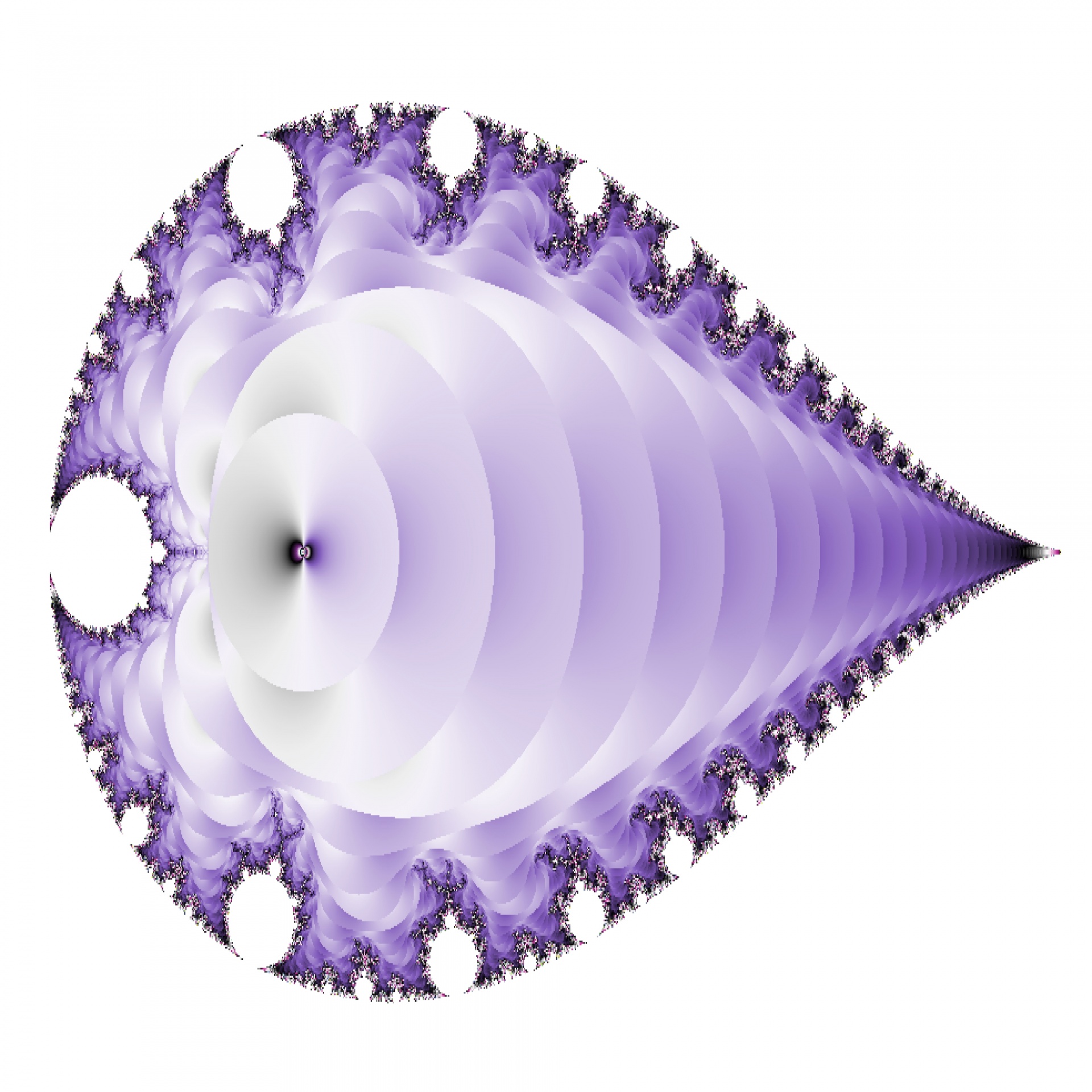紫色の魚