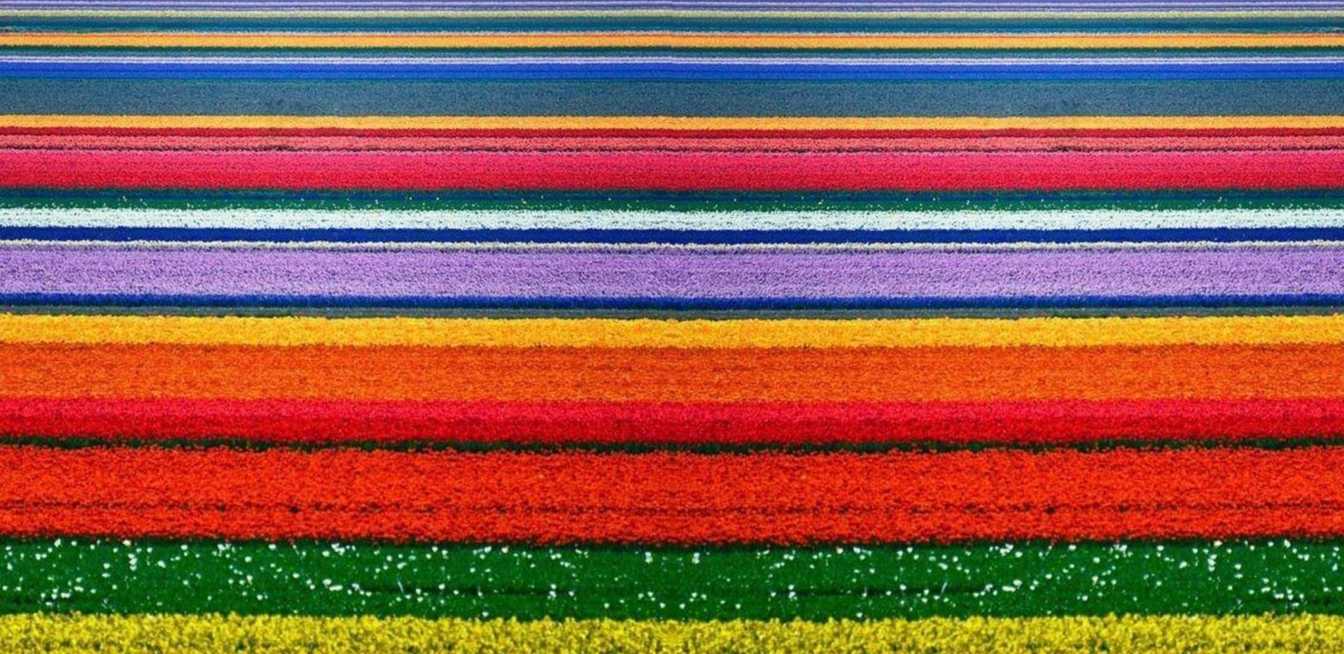 Wallpaper With Colorful Stripes