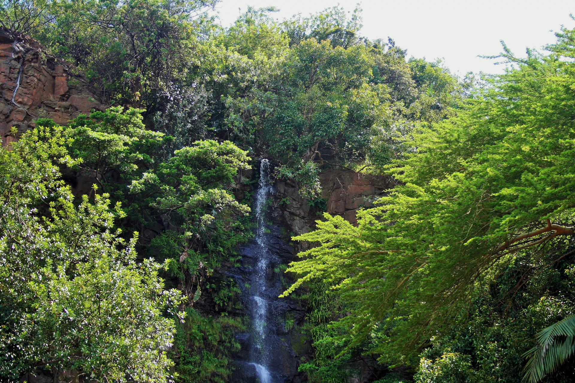 Waterfall At Umgeni Birdpark