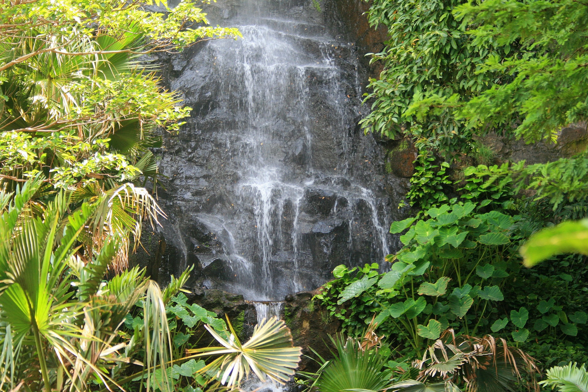 Cascada en un jardín tropical