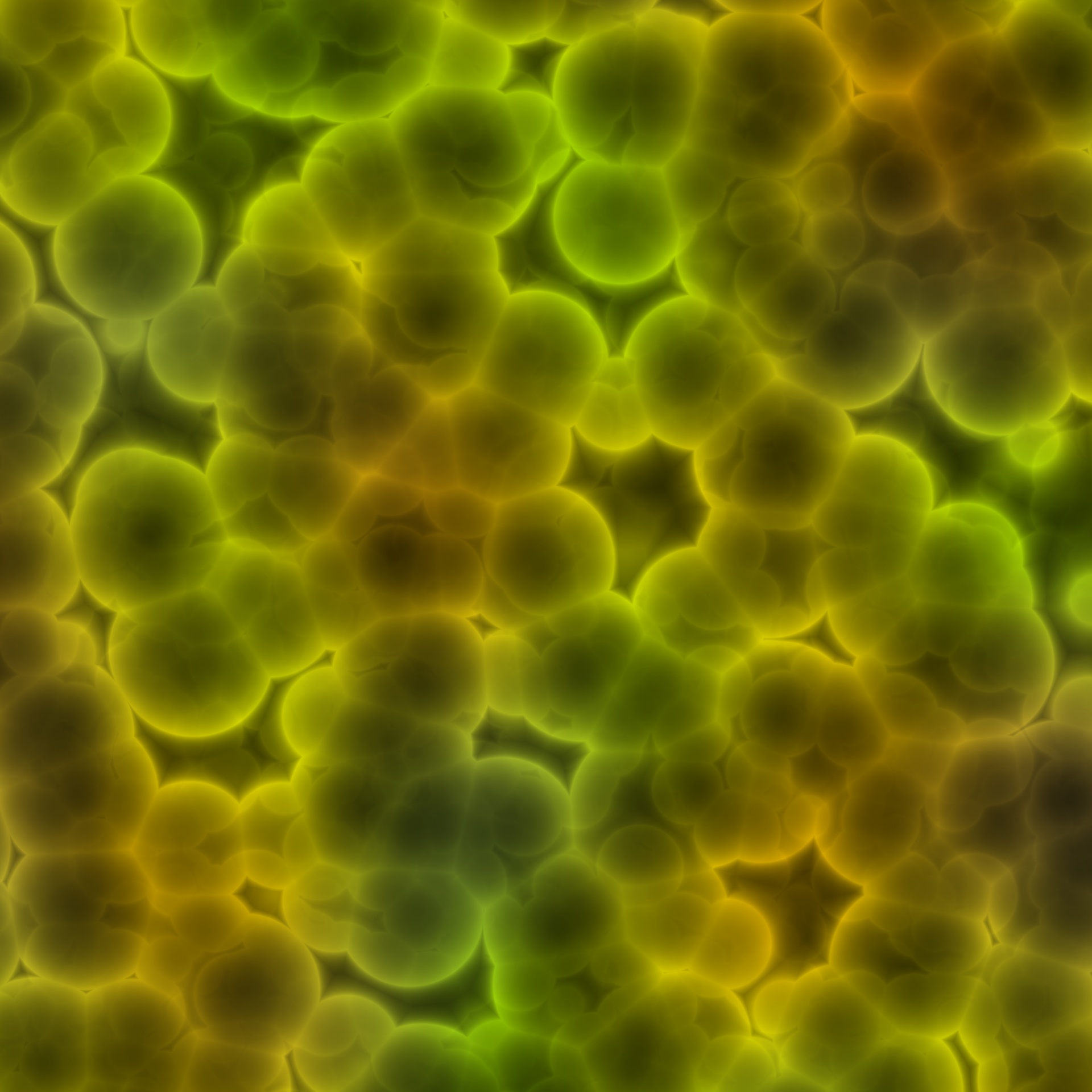 Bacterias amarillo