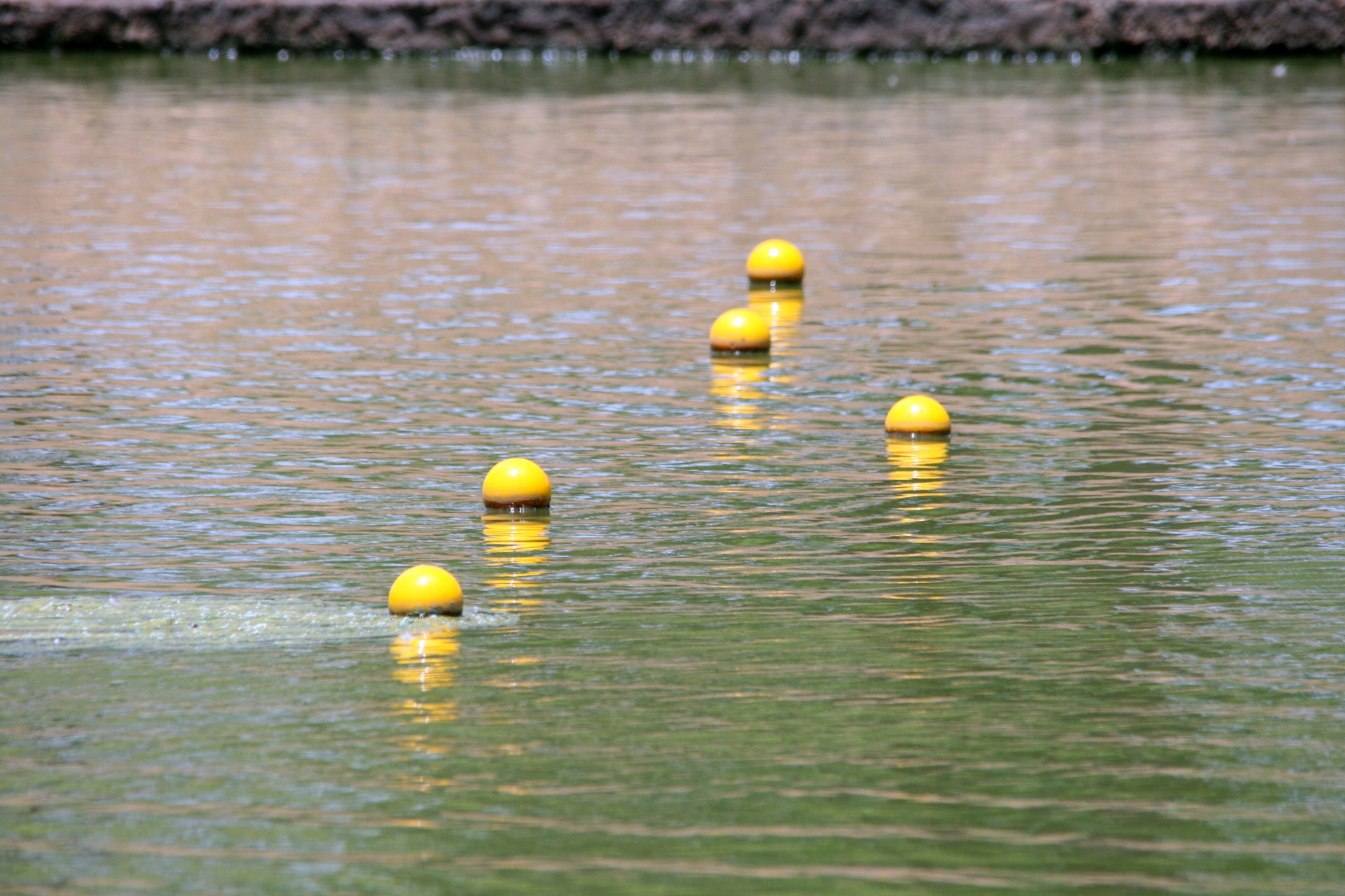 Yellow Buoys On Pond