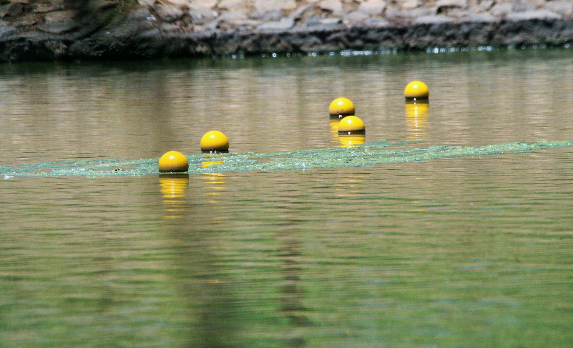 Bóias amarelas na água