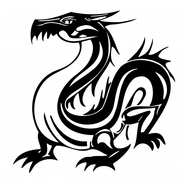 Black Dragon Free Stock Photo - Public Domain Pictures