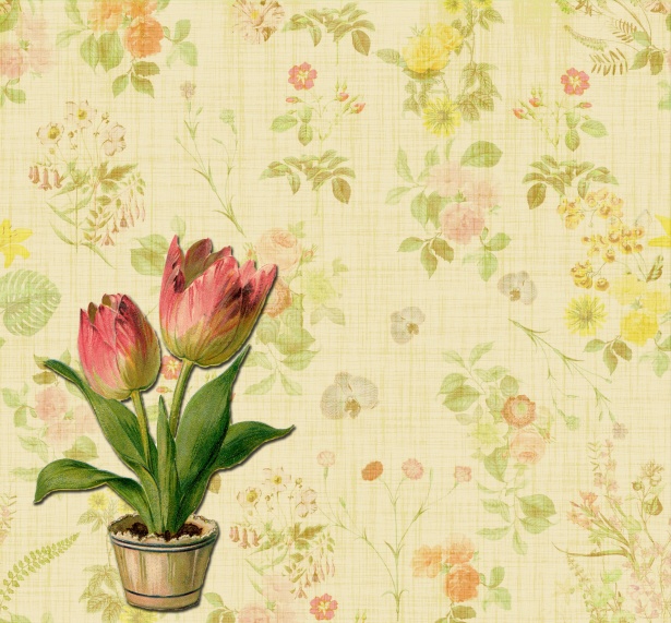 花柄の壁紙チューリップの背景 無料画像 Public Domain Pictures