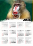 2016 annual calendar II