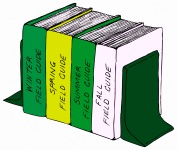 Färgade bokhylla med böcker