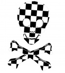 Checker Skull