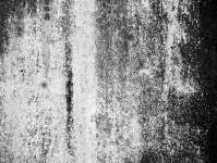 Tmavě šedá Concrete Texture