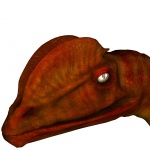 Dinosaurus hoofd