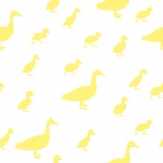 Duck And Ducklings Wallpaper