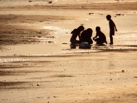 Family Plays on the Beach