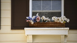 Цветы в Window Box