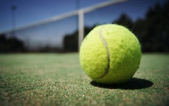 Fuzzy galben Minge de tenis