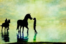 Silhouet van het paard