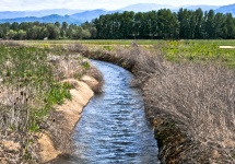 Irrigation Water #2