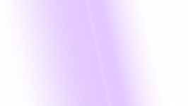 Lilac White Background