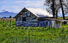 Painted Old Barn