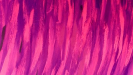 Pink Red Brush Strokes Background