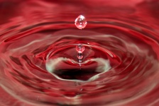 Red Water Droplet Makroansicht