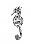 Seahorse Clipe Ilustração
